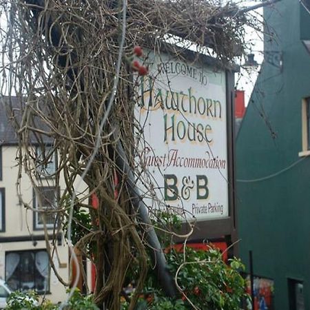 Hawthorn House Guesthouse Kenmare Exterior photo