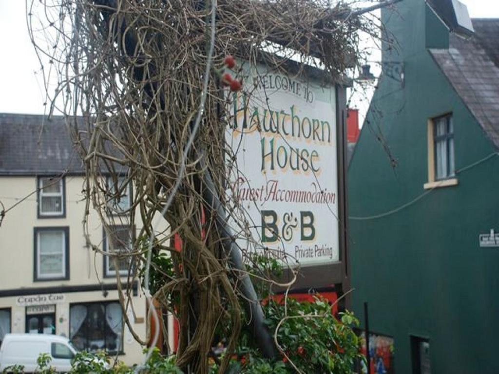 Hawthorn House Guesthouse Kenmare Exterior photo